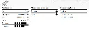 smt 624.webp